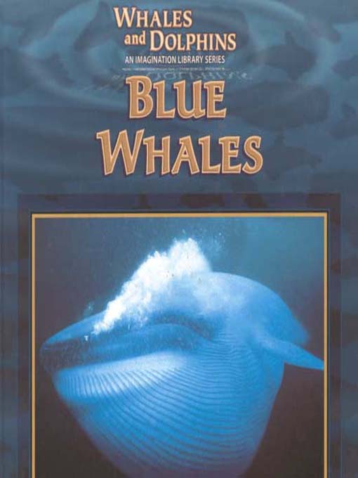 Cover image for Whales and Dolphins: Blue Whales